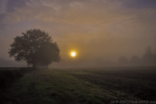 morning trees sky sun tree misty clouds sunrise nikon sunny fields worcestershire tranquil atmospheric mistymorning wythall d300s jrwphotography johnwarwood flickrjrt