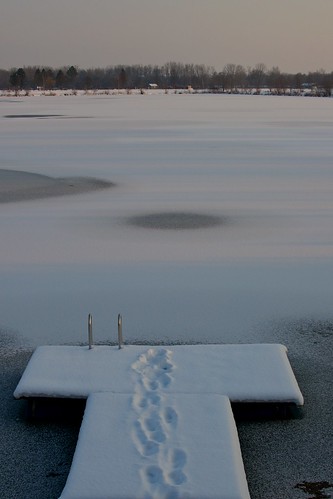 schnee winter lake snow ice swim see nikon schwimmen eis feldkirchen d90 at nikond90 millquarter afsdxnikkor35mmf18g mühlviertel oö
