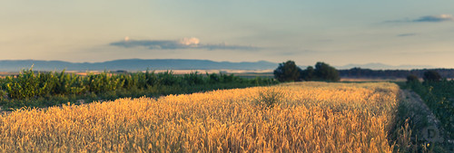 blur june 50mm countryside spain panoramic segovia castilla pentaxk5