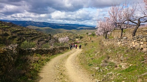 almendra portugal rota amendoeiras sony z1 trekking