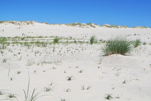 grass nationalpark sand dunes poland unesco łeba słowińskiparknarodowy