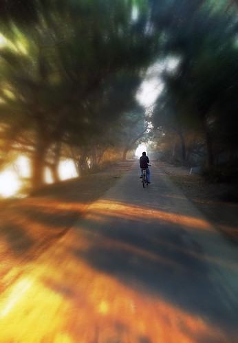 orange india motion bike speed sunrise cycling sunrays rajasthan iphone naturetrail bharatpr iphone5