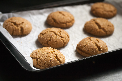 Chewy Spicy Ginger Cookies