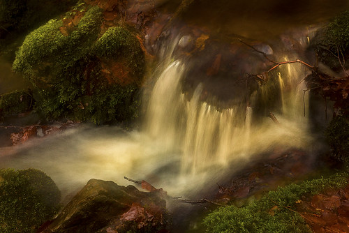 autumn creek river flow moss rocks sweden stones icm halland sream mygearandme