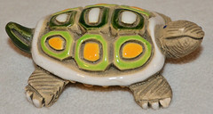 069 Baby Turtle