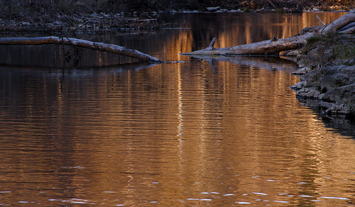 sunset water roaringriverstatepark 2013ft06
