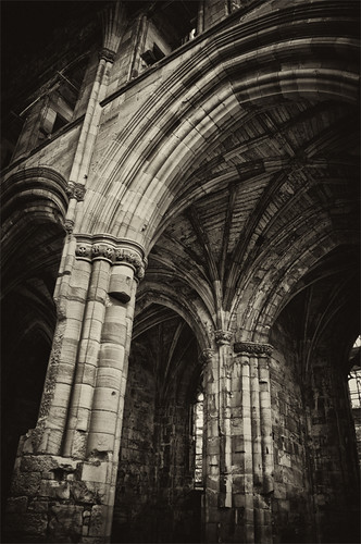 abbey scotland nikon melrose abbazia scozia nikond5000