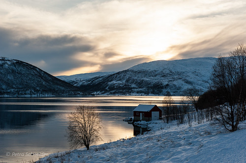 winter skandinavien norwegen scandinavia troms winterday northernnorway sommaroy tromsfylke