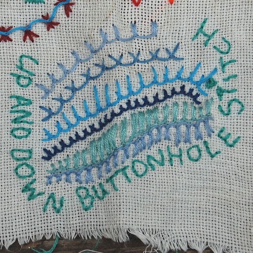 TAST #26 Up and Down Buttonhole stitch