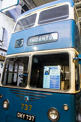 Trolley Bus