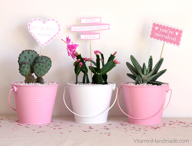 DIY Valentine Succulent Planters with free printable!
