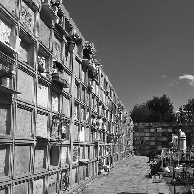 Guanajuato cemetery