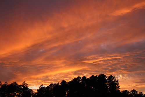 sunset nature clouds newjersey pinelands pinebarrens franklinparkerpreserve