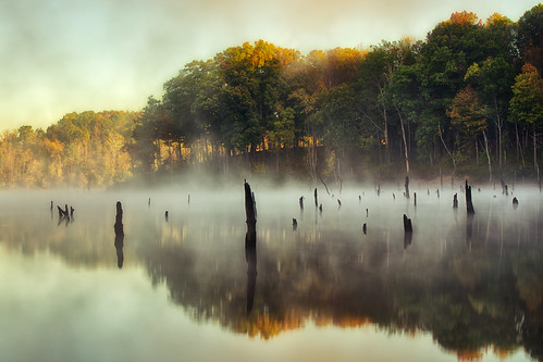 statepark wood autumn trees ohio sky sun mist lake cold reflection fall water colors fog clouds sunrise landscape pond day cincinnati branches logs chill hdr highdynamicrange stumps eastforklake