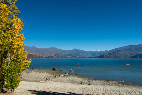 autumn trees newzealand lake mountains water leaves shadows hills southisland centralotago wanaka lakewanaka