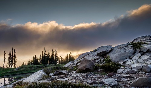 rainier spraypark alpinemeadow clouds trinterphotos richtrinter graniteoutcrop