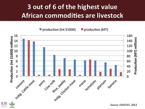 ILRI presentation for ALiCE2013: Highest value African commodities