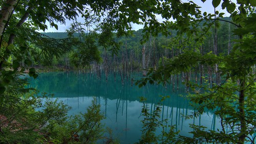park morning blue summer sky sun japan pond hokkaido view cannon biei hdr furano magiclantern 美瑛 富良野 eos60d saikachi 青い池 n43cd