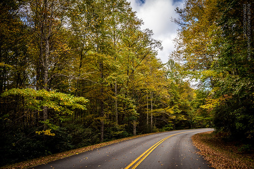 road autumn usa tree fall forest us woods flora nikon carretera unitedstatesofamerica northcarolina bosque árbol otoño nikkor blueridgemountains blueridgeparkway newland pisgahnationalforest d4 2470mmf28g 2013101228872