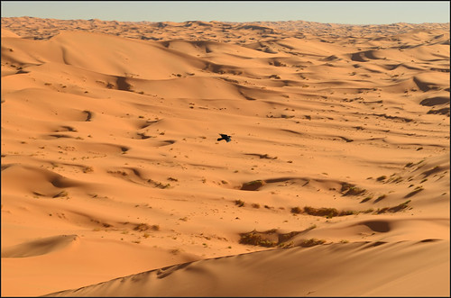 Del sable del Sahara a la devastación de Tindouf. - Mon Tour D'Algérie: Argelia, Túnez y Francia a pedales. (CONSTRUCCIÓN) (14)