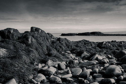 canada beach rocks novascotia tide rocky lowtide blackrock fujixe2