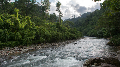 gunung leuser national park rainforest indonesia sumatra river landscape bukit lawang