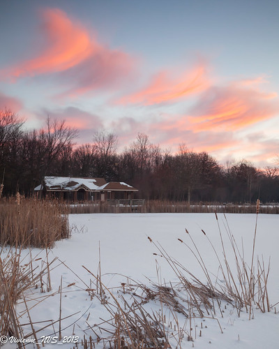snow sunrise illinois pond preserves lakecounty halfdayforestpreserve halfdaypond