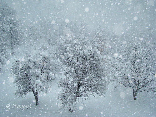 snow winter nature textured sony blue bulgaria българия природа габрово mygearandme mygearandmepremium ruby3 риванова rivanova christiangroup зима сняг текстура дърво