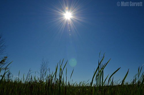 blue sky sun ontario canada reeds nikon ottawa rays dslr bogtrail merblue 18105mm d5100 nikond5100 merbluebogtrail