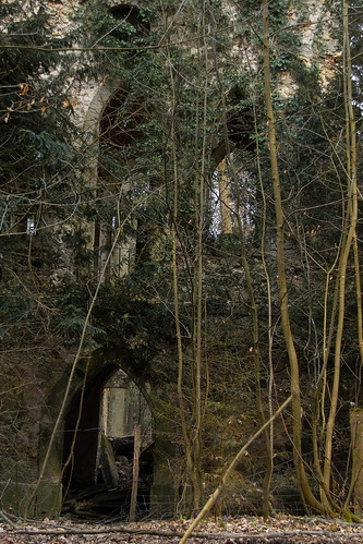 abandoned photography gothic ruin sigma chapel franconia ruine franken sd10 kapelle franconianswitzerland fraenkischeschweiz reginahoer