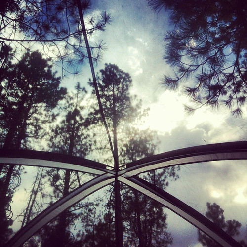 camping trees arizona sky sun net clouds forest daylight woods mesh az tent ceiling lookingup pines seethrough netting iphone longvalley instagram