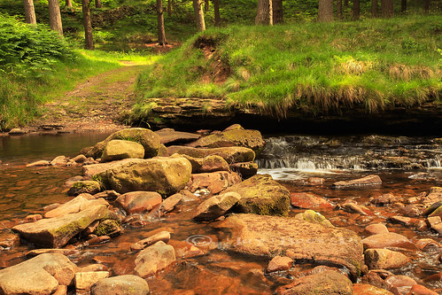 uk trees england forest nationalpark europe crossing path derbyshire peakdistrict ngc npc steppingstones ladybower 2013 derwentdams handheldusingselftimer gapjuly13np