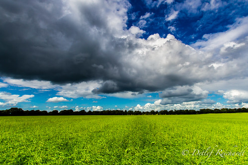nature field rain weather clouds germany landscape europe cloudy meadow rainy notherngermany lunestedt