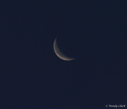 morning moon luna waningcrescent