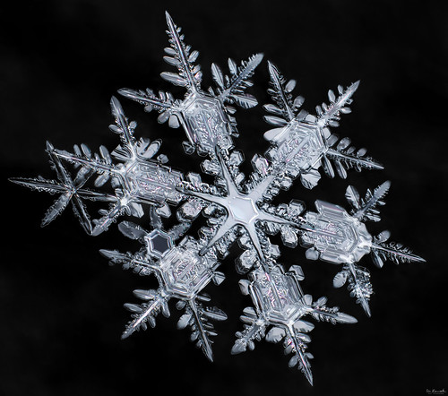 snowflake winter snow macro ice beauty crystal symmetry mpe donkom
