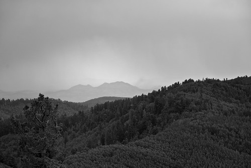 trees light wild summer bw plants storm mountains newmexico tree rain weather clouds forest walking outdoors solitude shine solidarity conifer afternoonlight blackrange