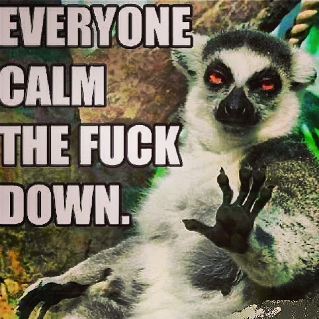 Please do calm down. A message to the awesome NSA.