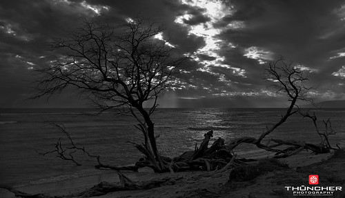 leica sunset sky bw tree beach nature monochrome clouds landscape outdoors hawaii blackwhite scenic silhouettes rangefinder maui pacificocean fullframe fx olowalu waterscape m9 ukumehamebeach thousandpeaks summicron35mmf2asph leicam9 thephotographyblog agm9
