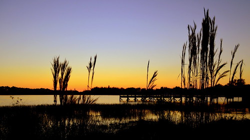 sunset florida naples sugdenregionalpark
