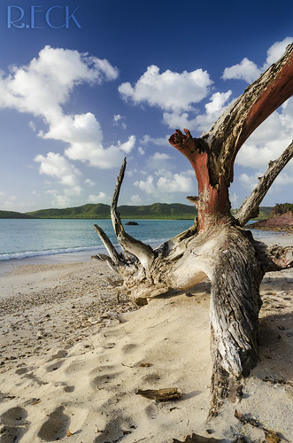 project odyssey travel antigua tropics caribbean international ocean water sand beach log tree stump color blue clouds landscape nature russell eck outdoor hermitage bay