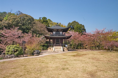 【写真】2013 桜 : 勧修寺/2021-02-03/IMGP9912