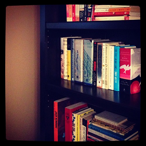 #fmsphotoaday September 11 - What you did today (finished shelving my books on our new bookcase)