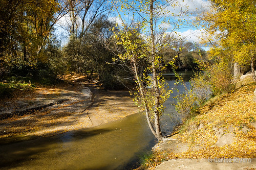 madrid españa naturaleza nature río otoño manzanares comunidaddemadrid