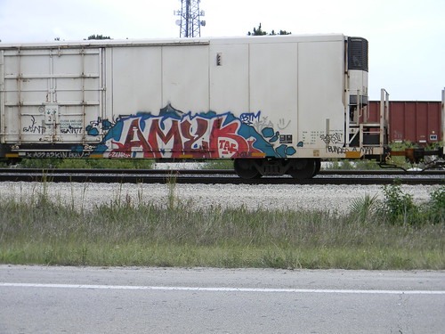 Amyk