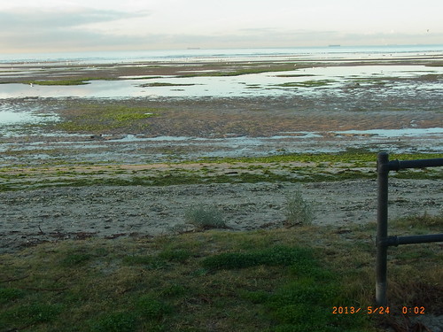 from port out bay king looking time tide low esplanade then friday philip altona sealevelrise preking kingtides witnesskingtides witneskingtides kingitdes