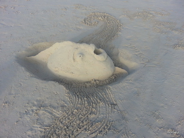 Montalut Sand art Fish 2013 (4)
