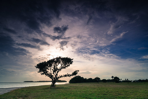 trees sunset tree gulfofmexico nature water clouds canon landscape island key gulf unitedstates florida everglades homestead southflorida 6d 24105l ef24105mmf4l eos6d