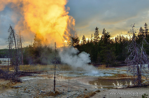 VIAJE COSTA OESTE EE.UU. - Blogs de USA - Yellowstone - Zona Norte (19)