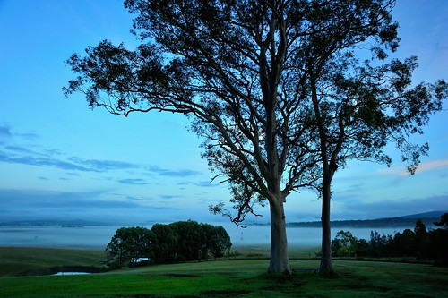 aus australia newsouthwales woodville nikond700 landscape foggy