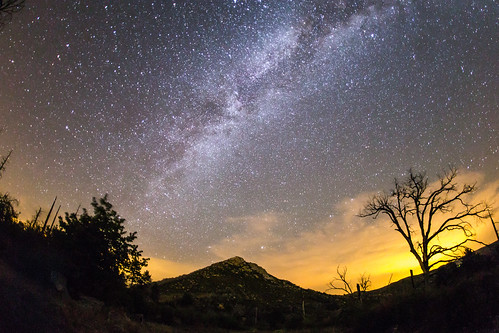 california sky mountain tree landscape julian unitedstates sandiego nighttime burnt nightsky milkyway vialactea